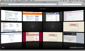 Safari Top Pages